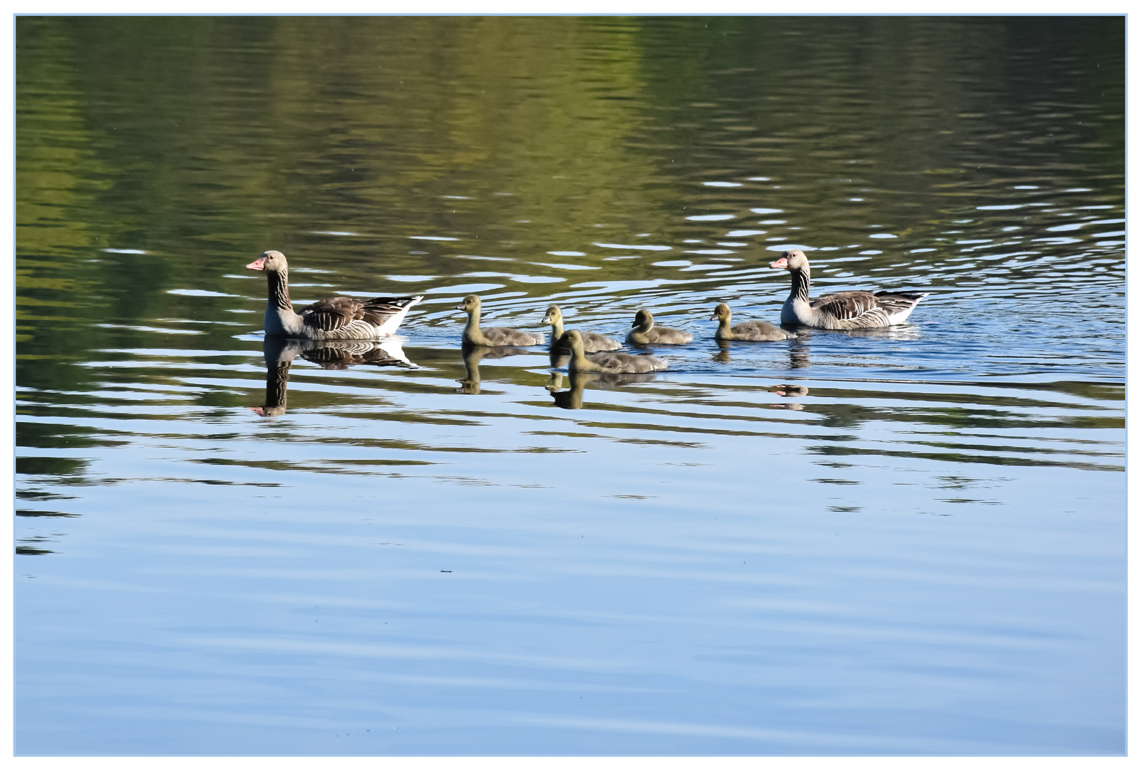 Familienausflug