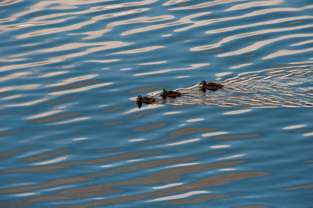 Familienausflug