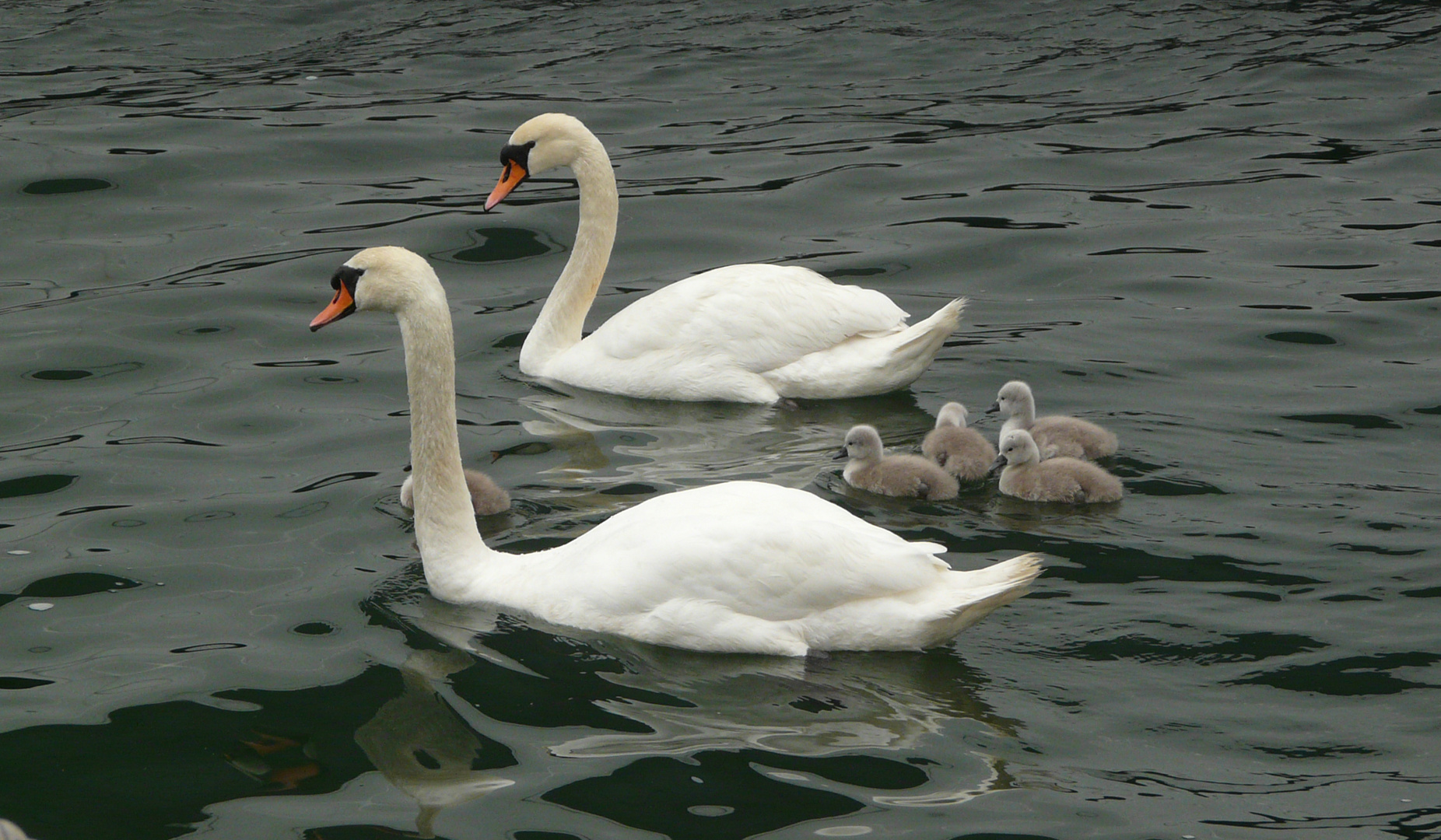 Familienausflug