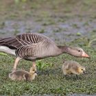 Familienausflug