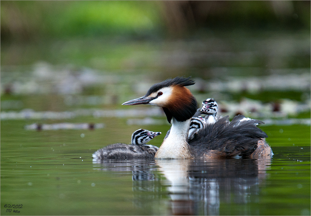 Familienausflug