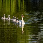 Familienausflug