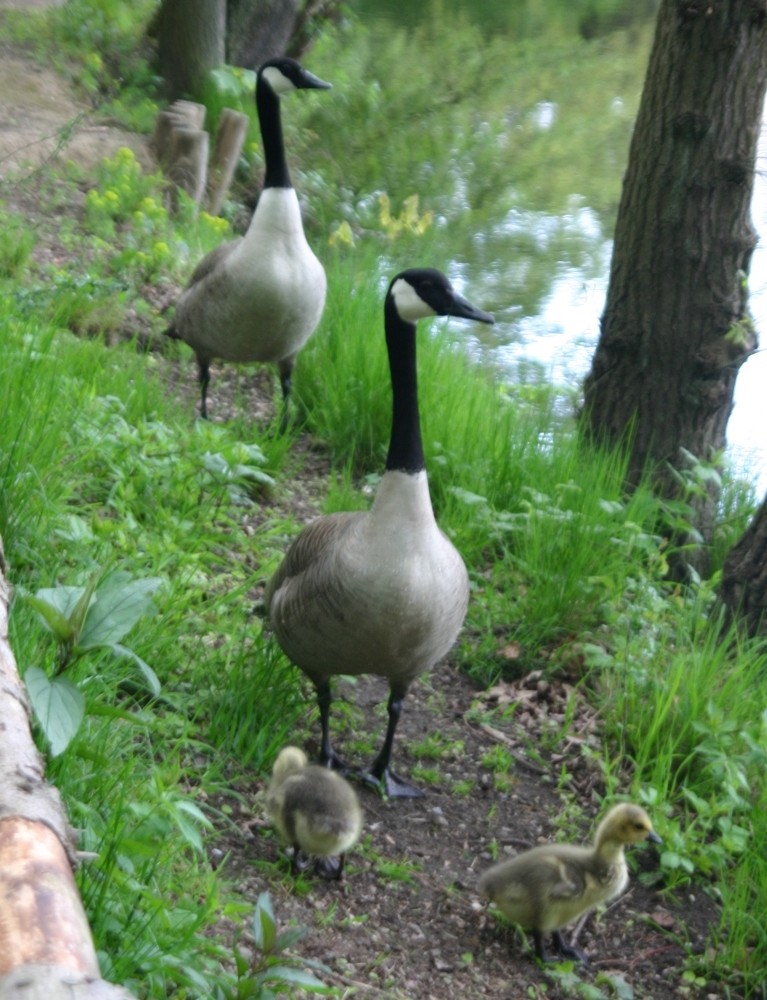 Familienausflug!