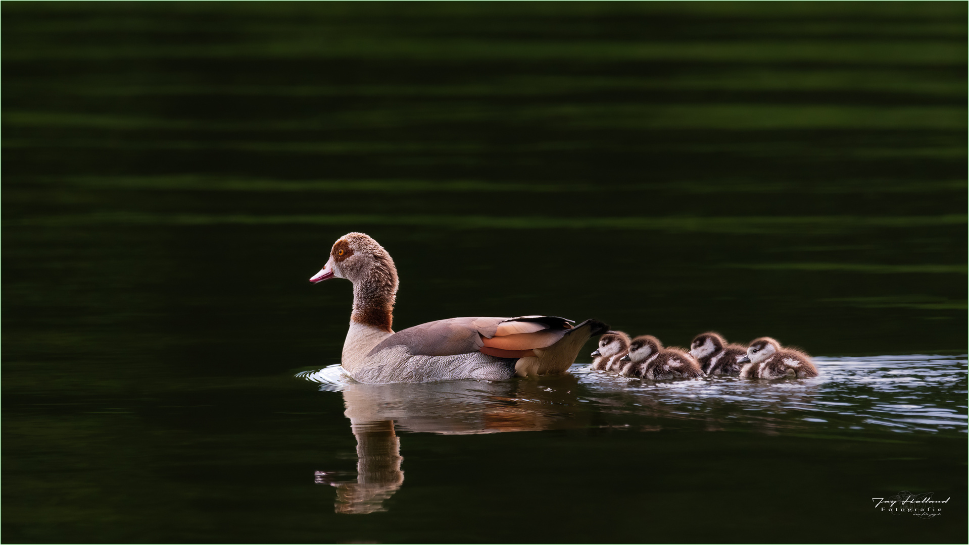 Familienausflug