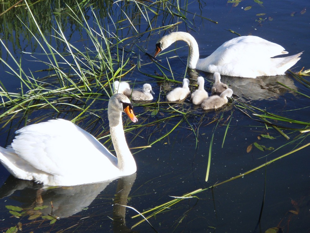 Familienausflug