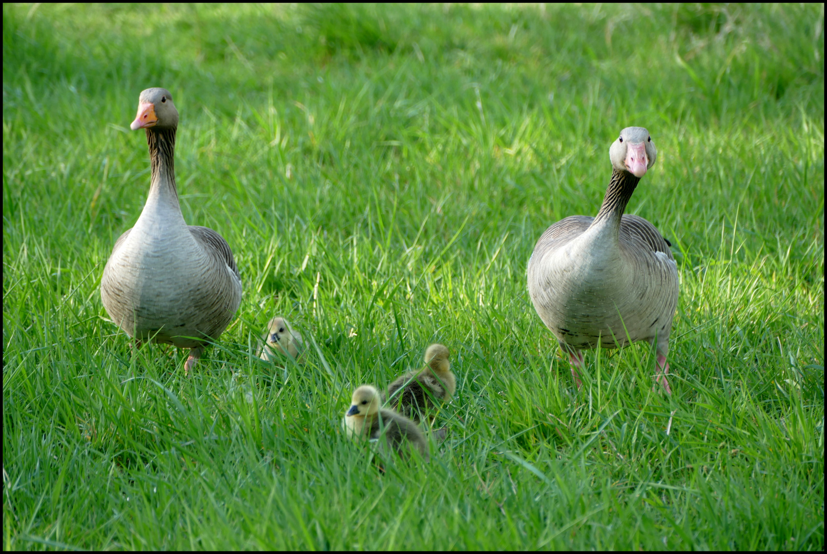 Familienausflug