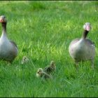 Familienausflug