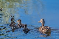 Familienausflug