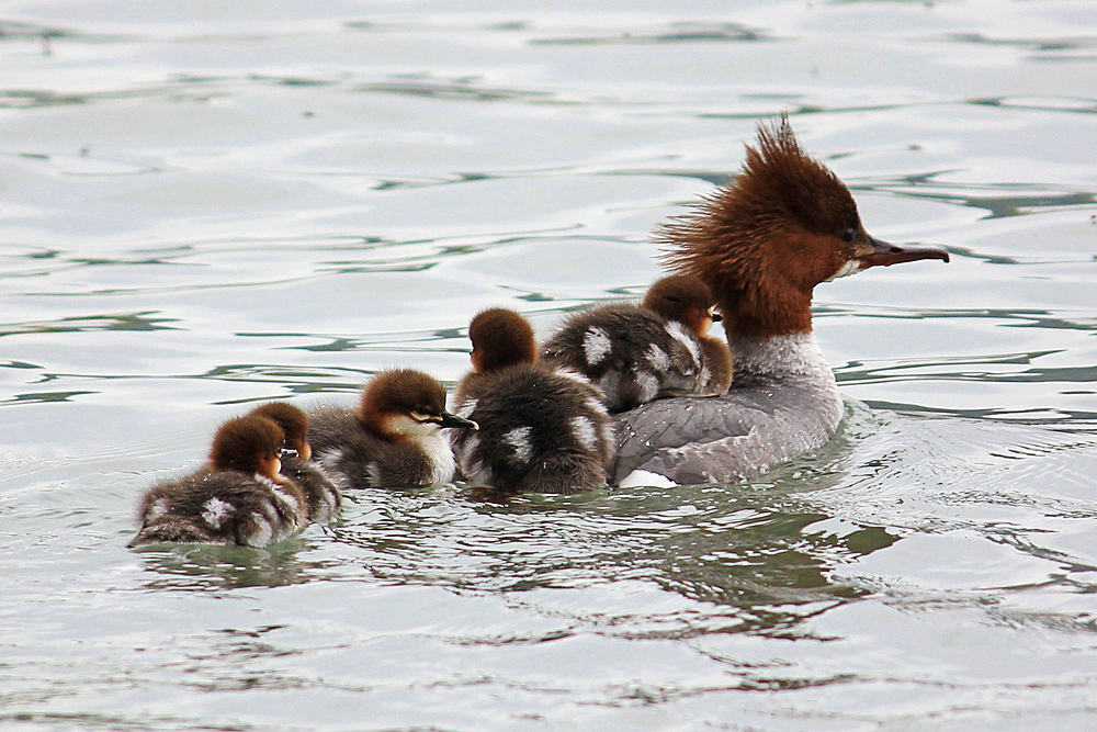 Familienausflug