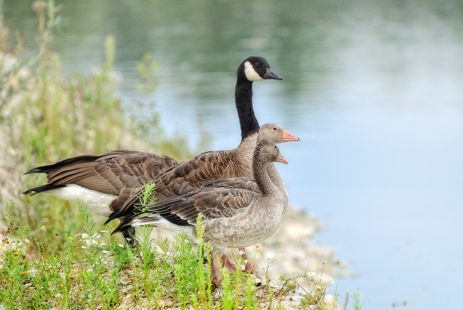 Familienausflug