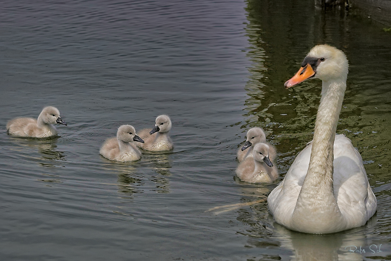 Familienausflug...