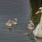 Familienausflug...