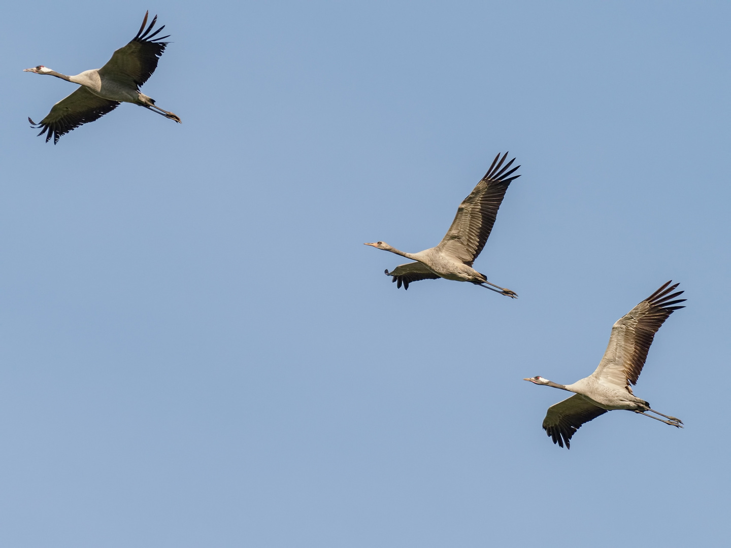 Familienausflug