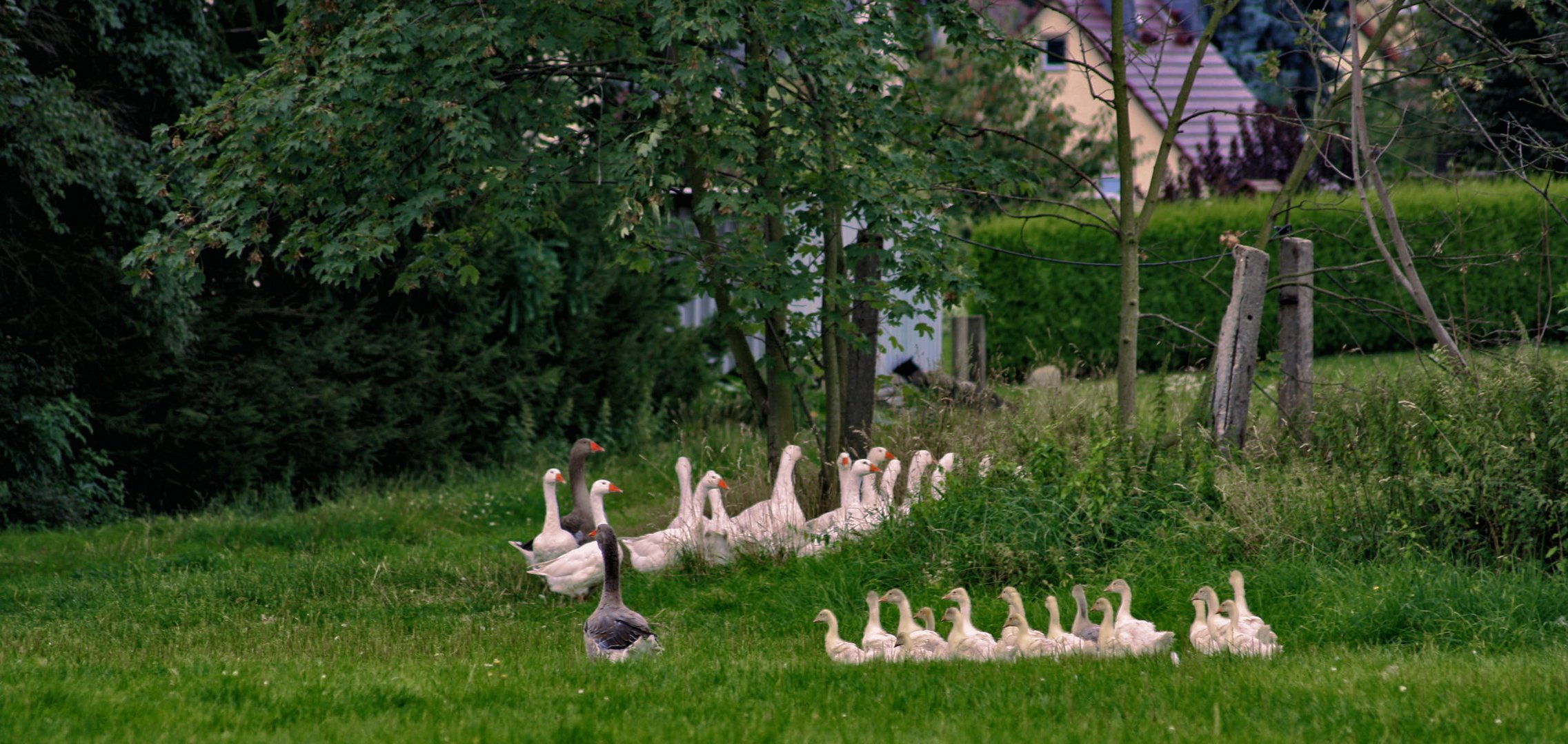 familienausflug