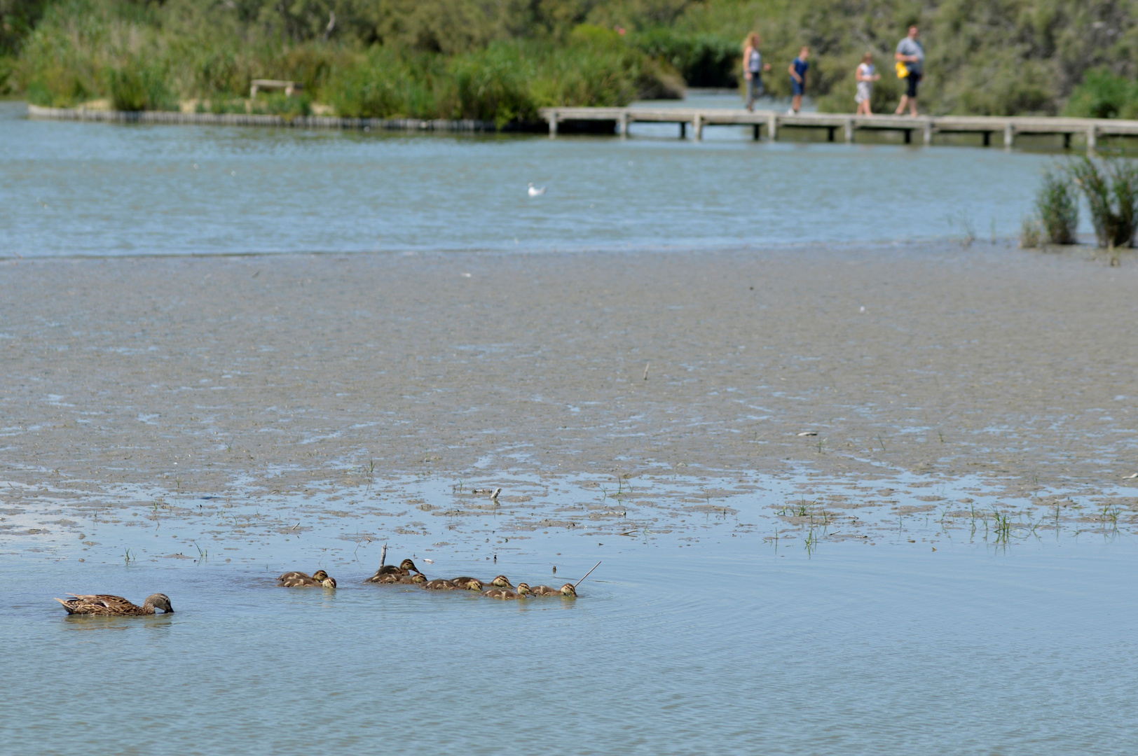 Familienausflug