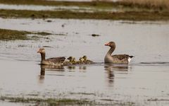 Familienausflug