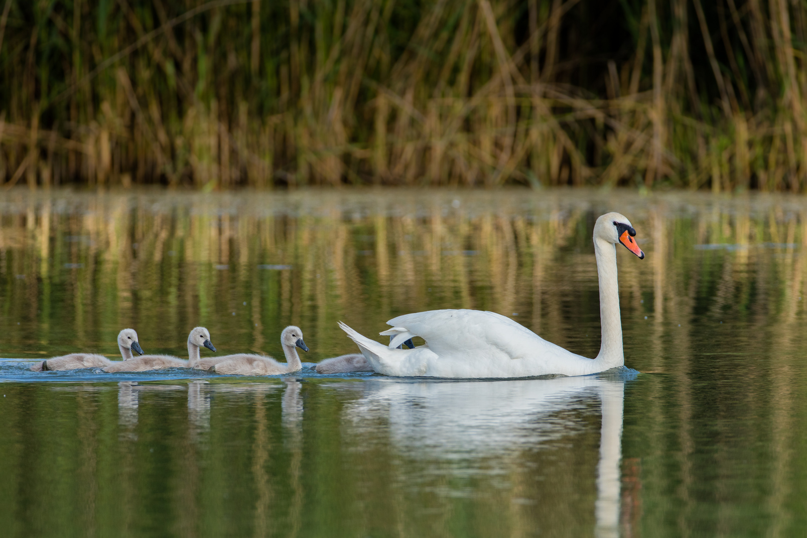 Familienausflug...