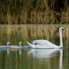 Familienausflug...