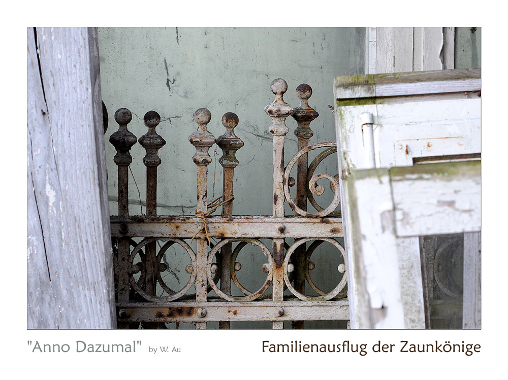 Familienausflug der Zaunkönige