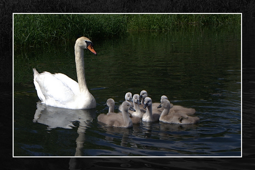 _Familienausflug 