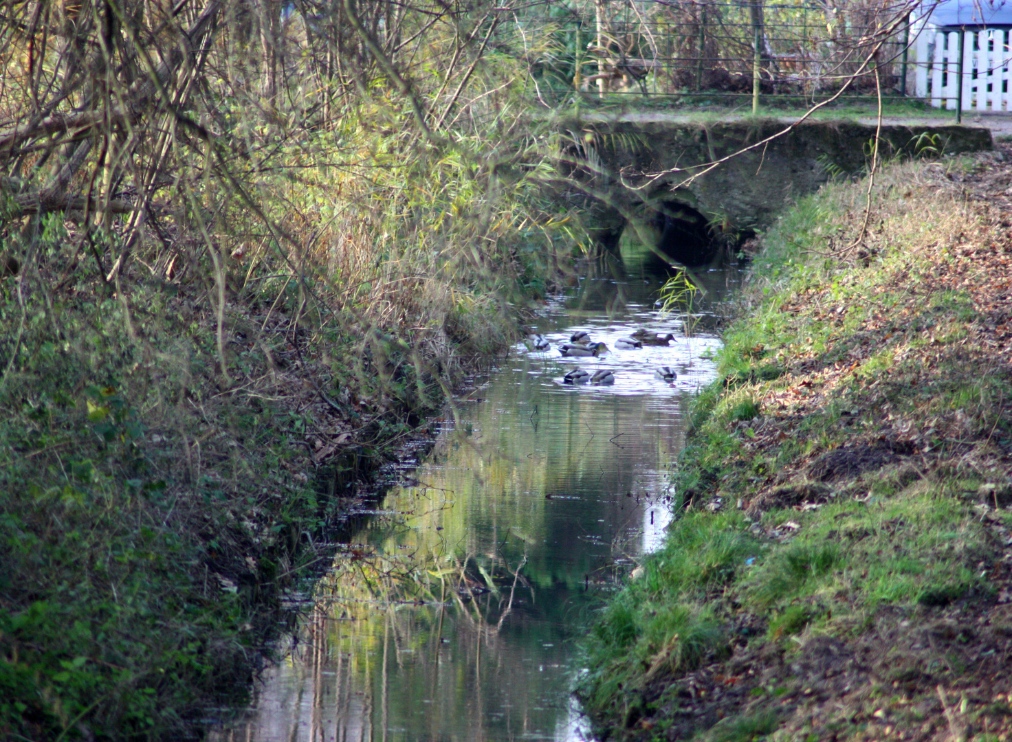 Familienausflug