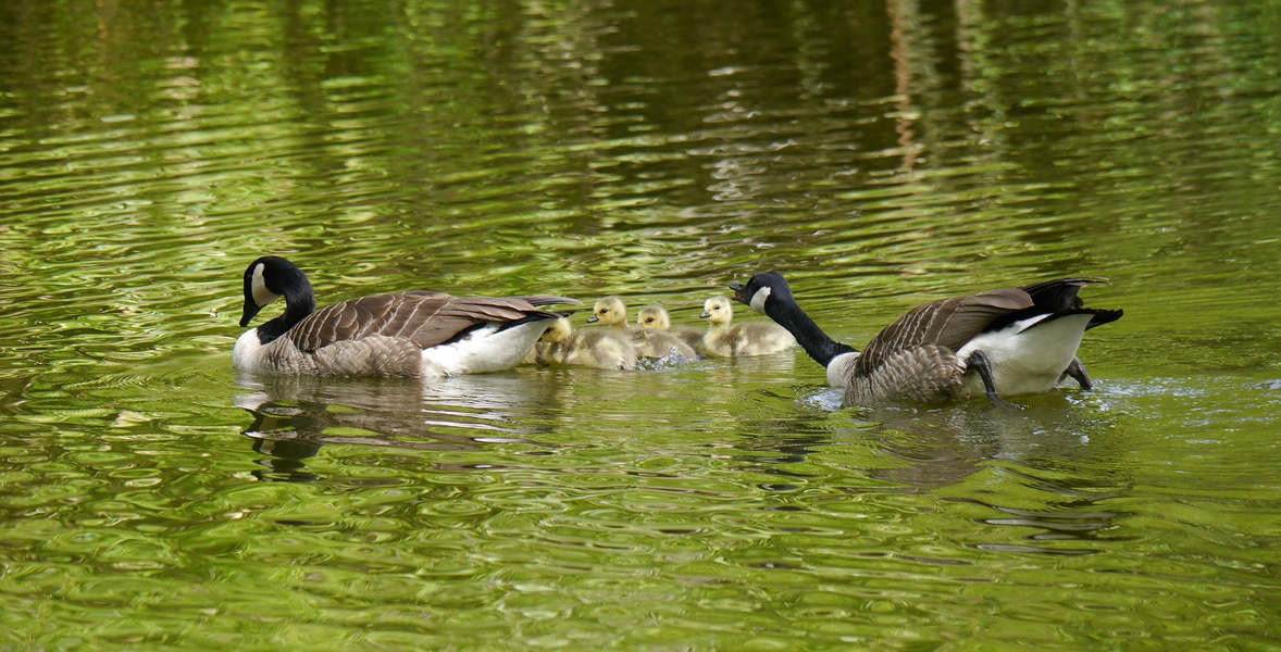 Familienausflug