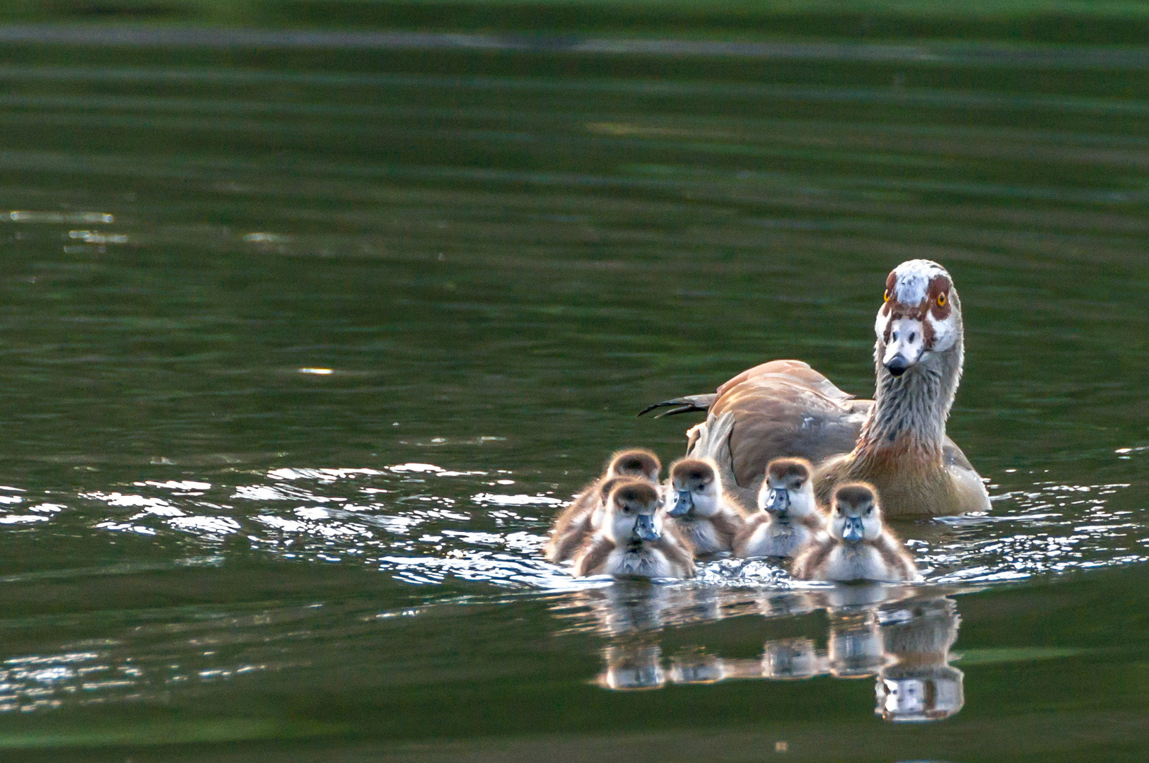 Familienausflug...