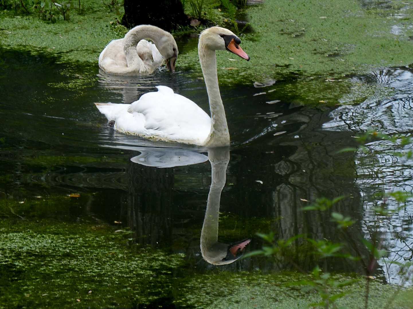 Familienausflug            Dienstag ist Spiegeltag