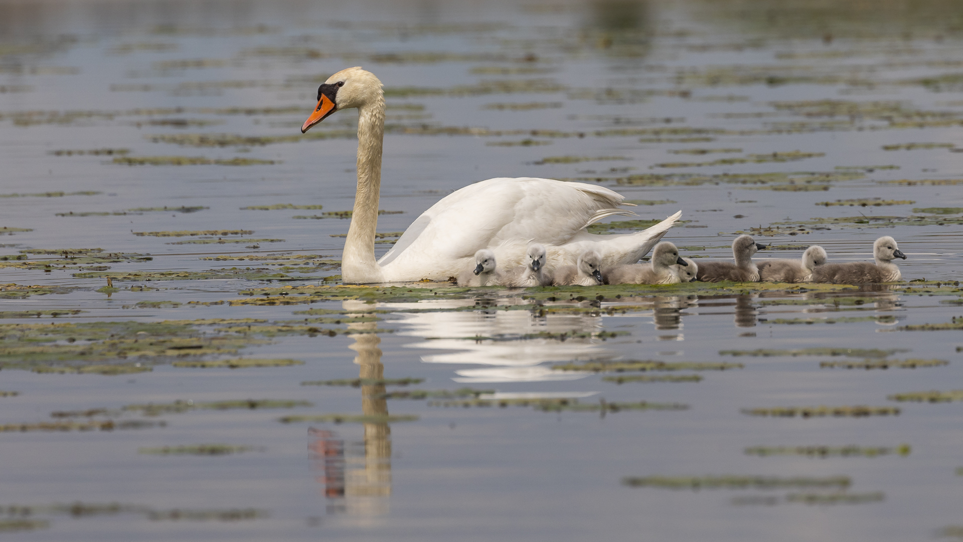 Familienausflug...