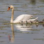 Familienausflug...