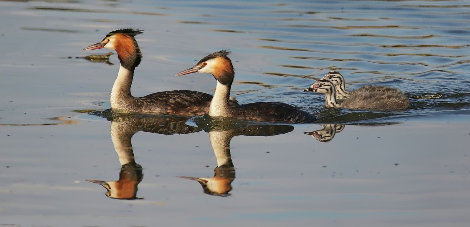 Familienausflug