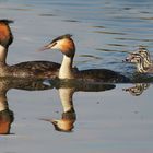 Familienausflug