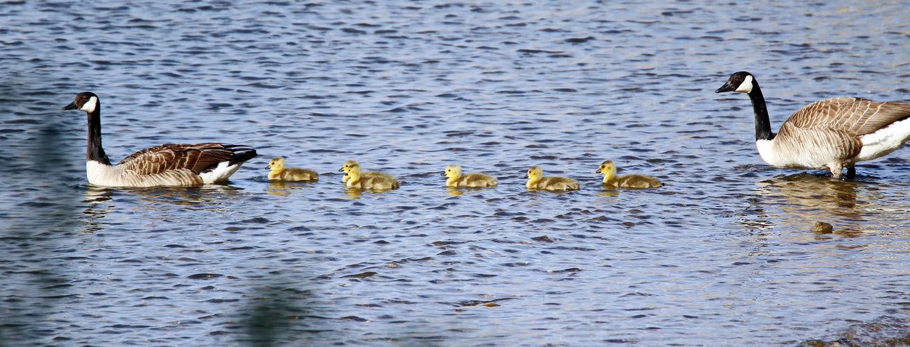 Familienausflug