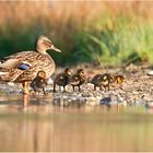 familienausflug....