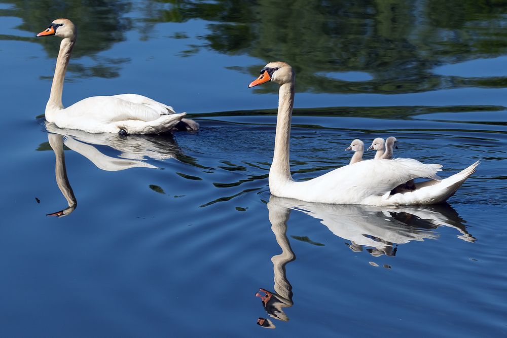 Familienausflug