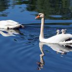 Familienausflug