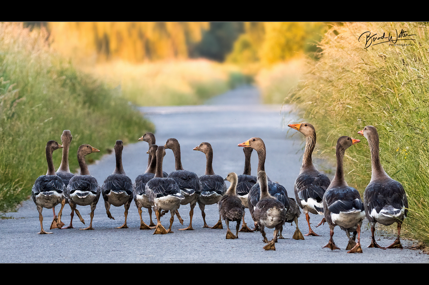 Familienausflug