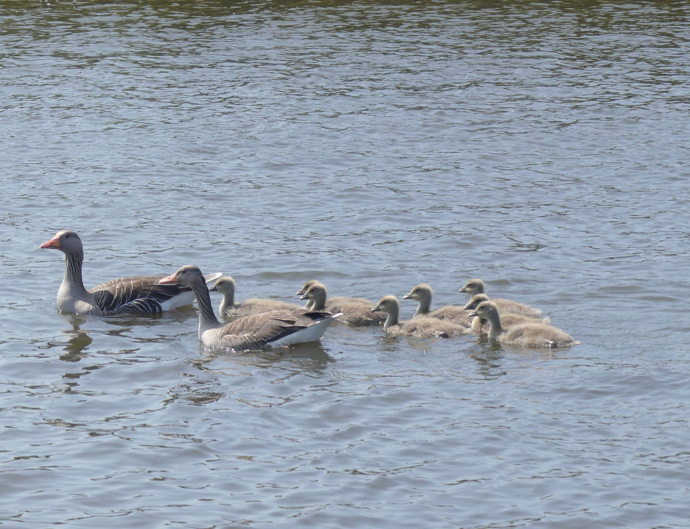 Familienausflug