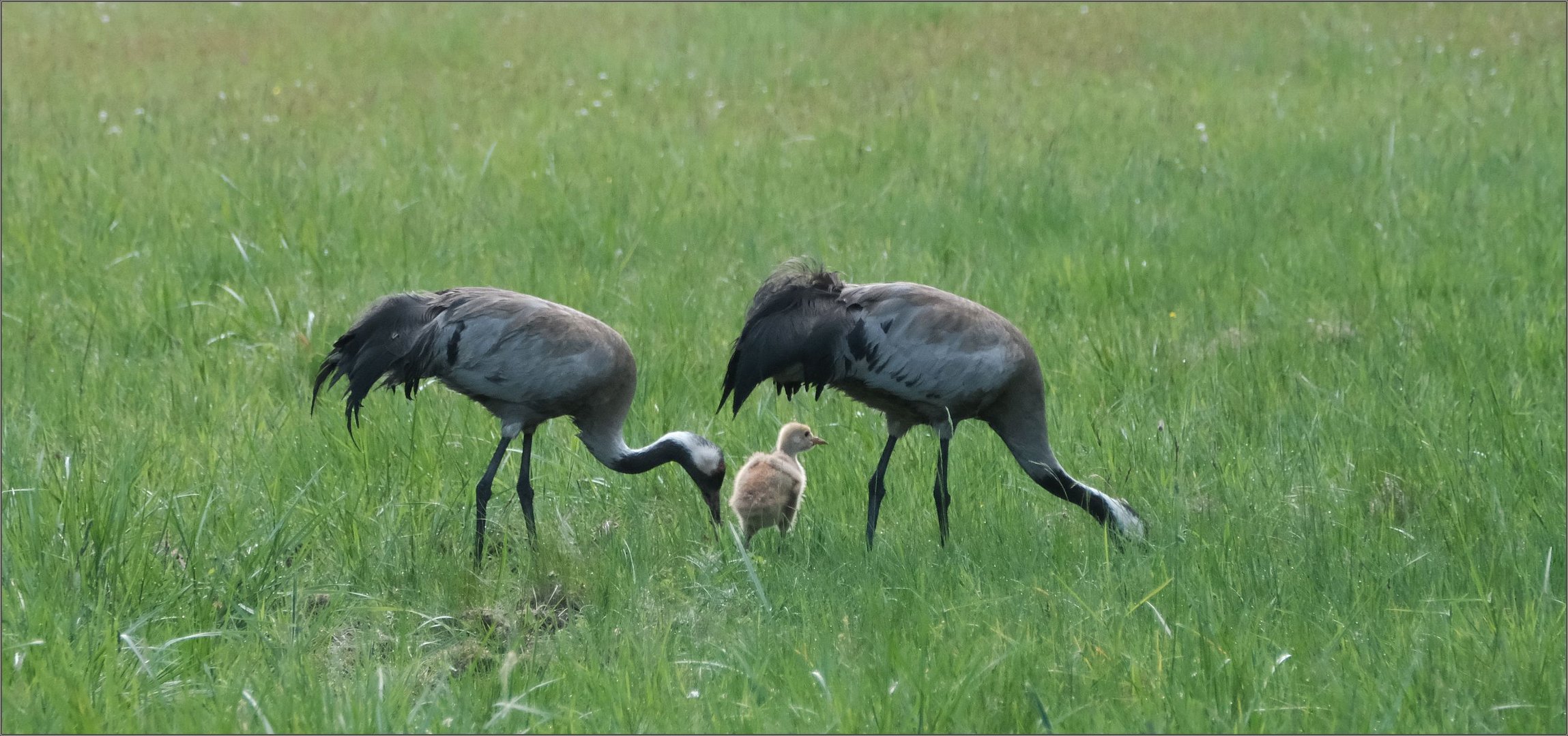 familienausflug