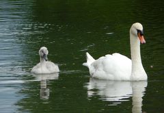 Familienausflug