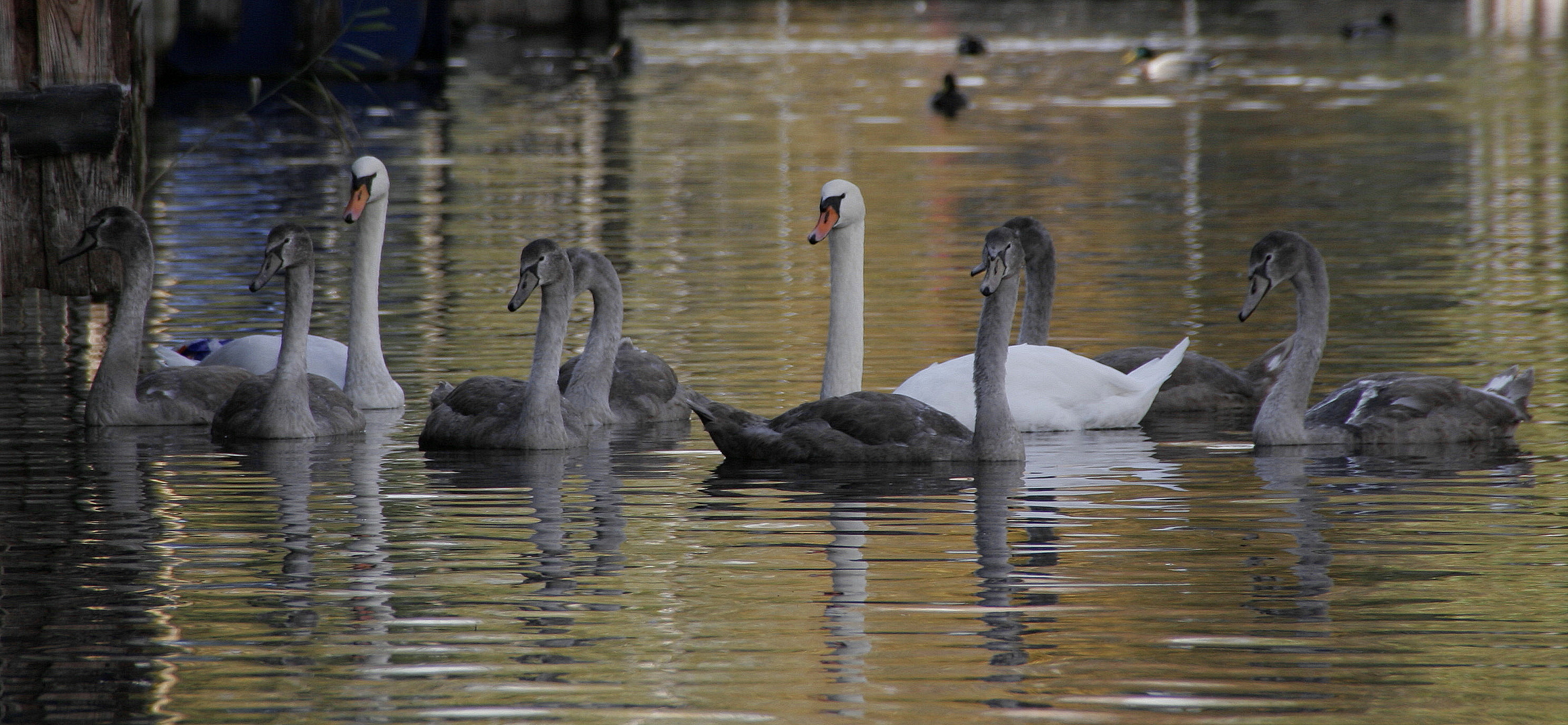 Familienausflug