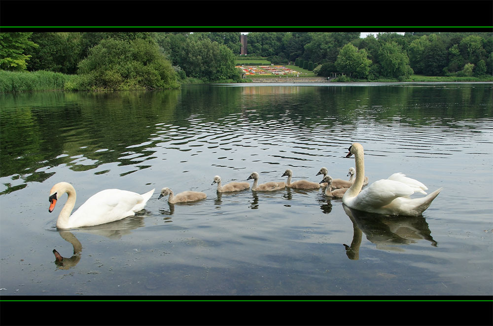 Familienausflug