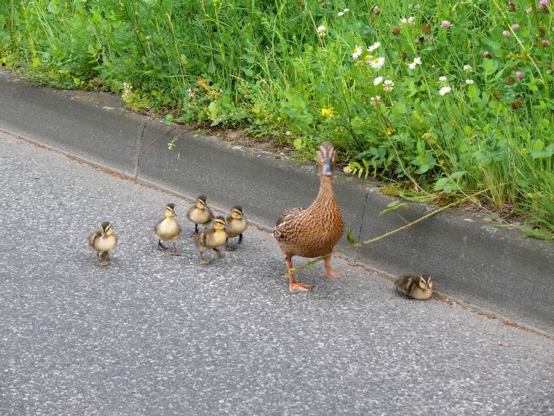 Familienausflug