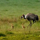 Familienausflug