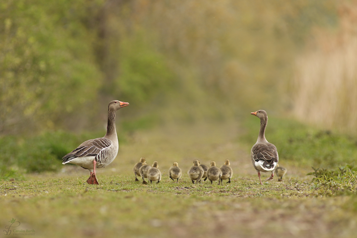 Familienausflug