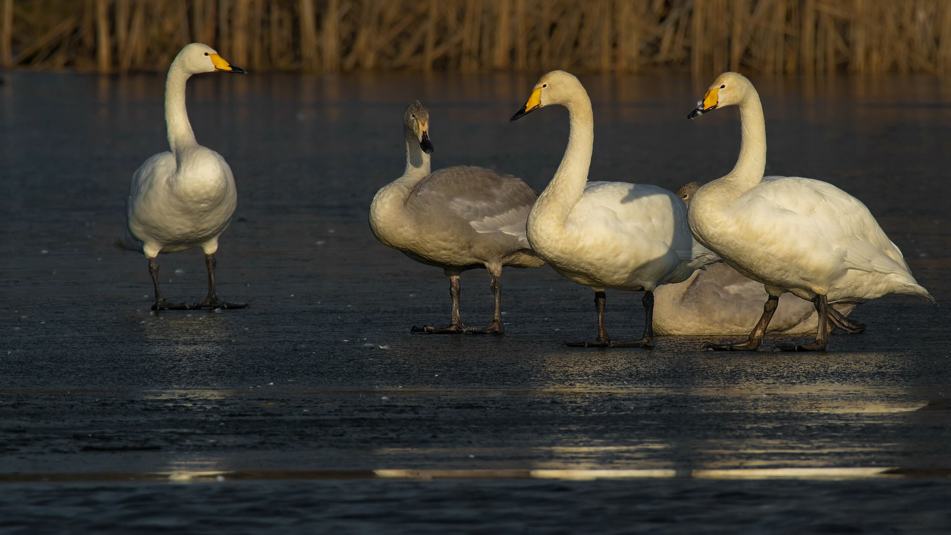 Familienausflug