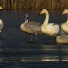 Familienausflug