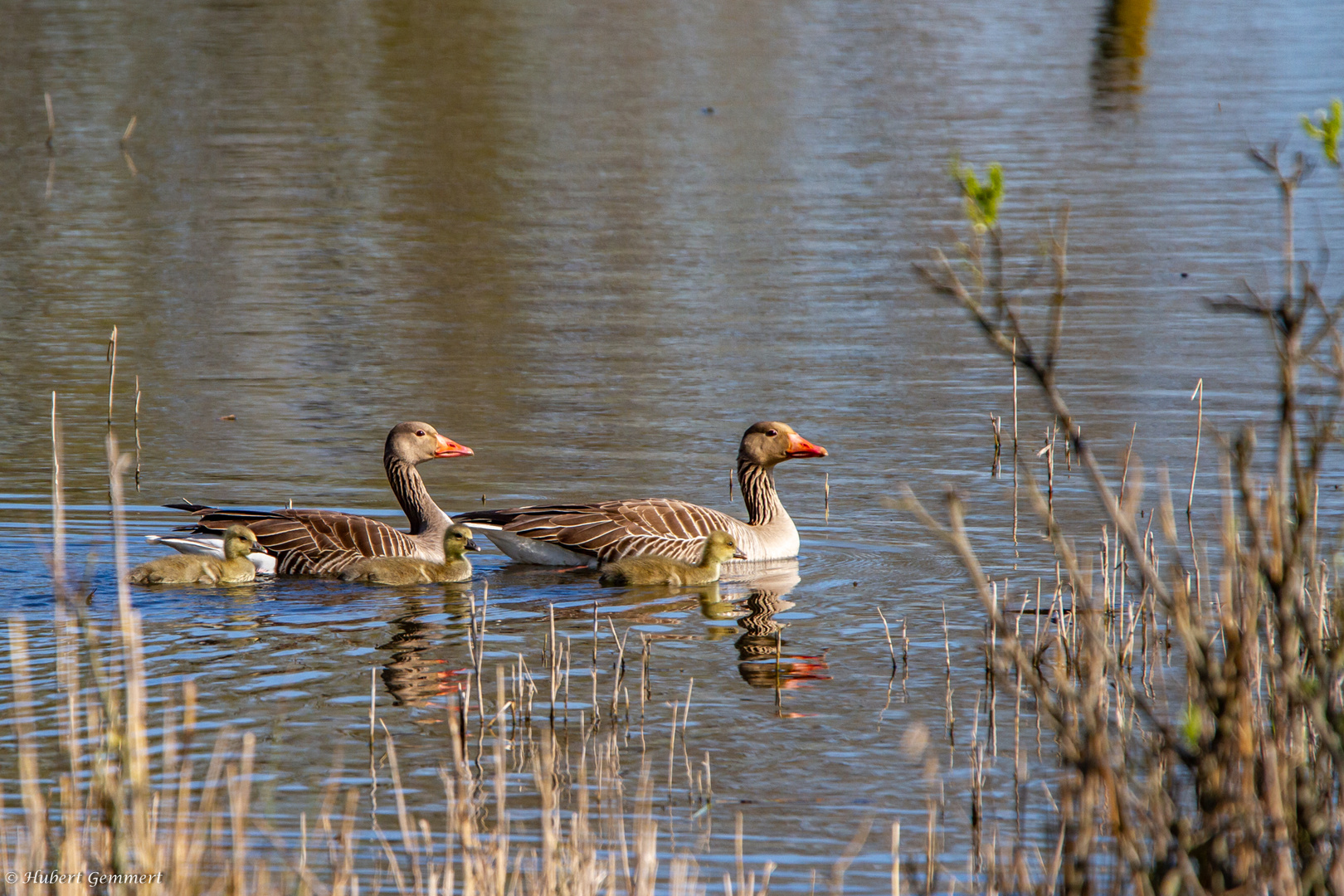 Familienausflug