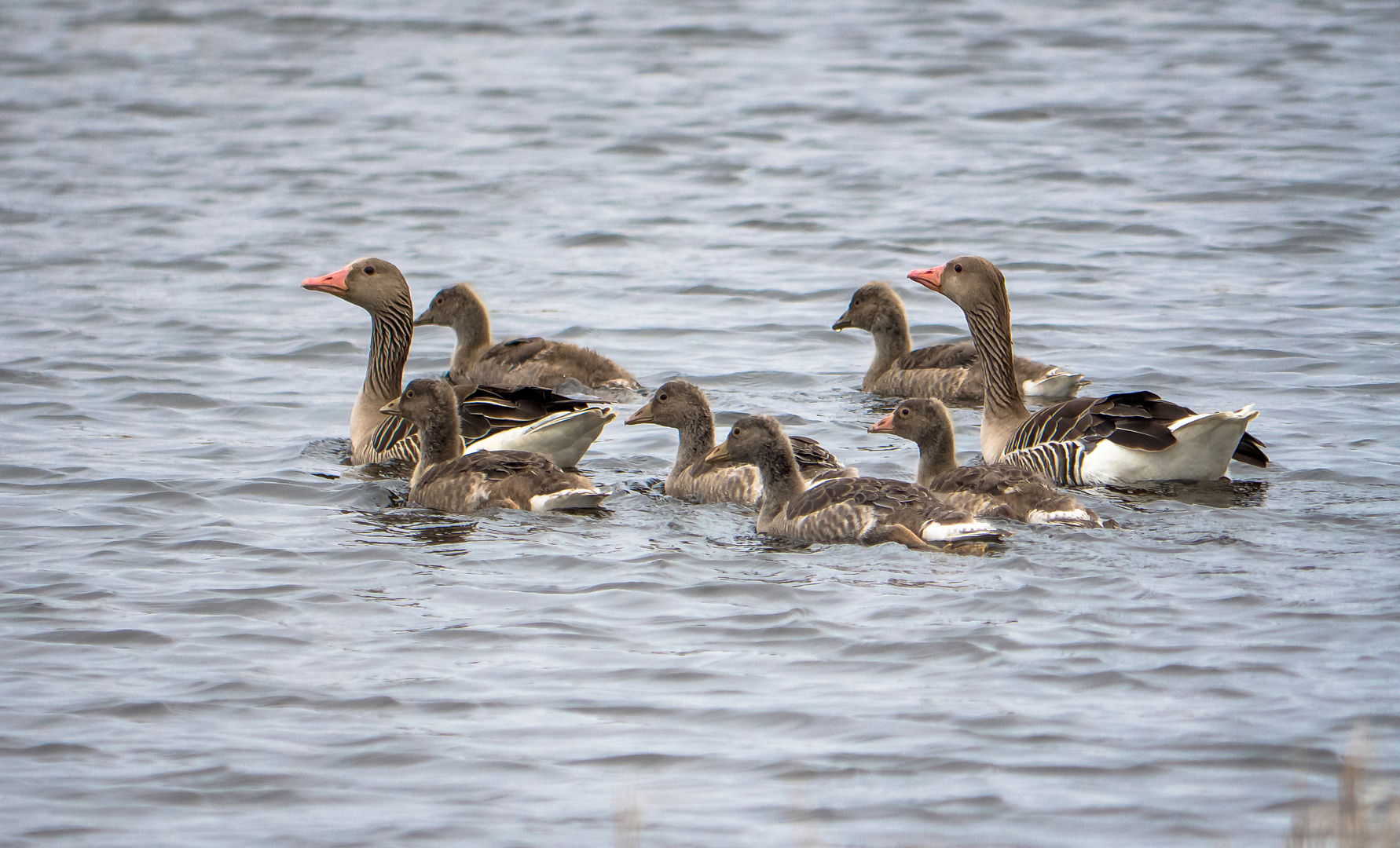 Familienausflug