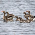 Familienausflug